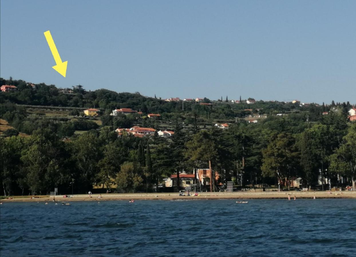 안카란 Apartma Monte Moro 아파트 외부 사진
